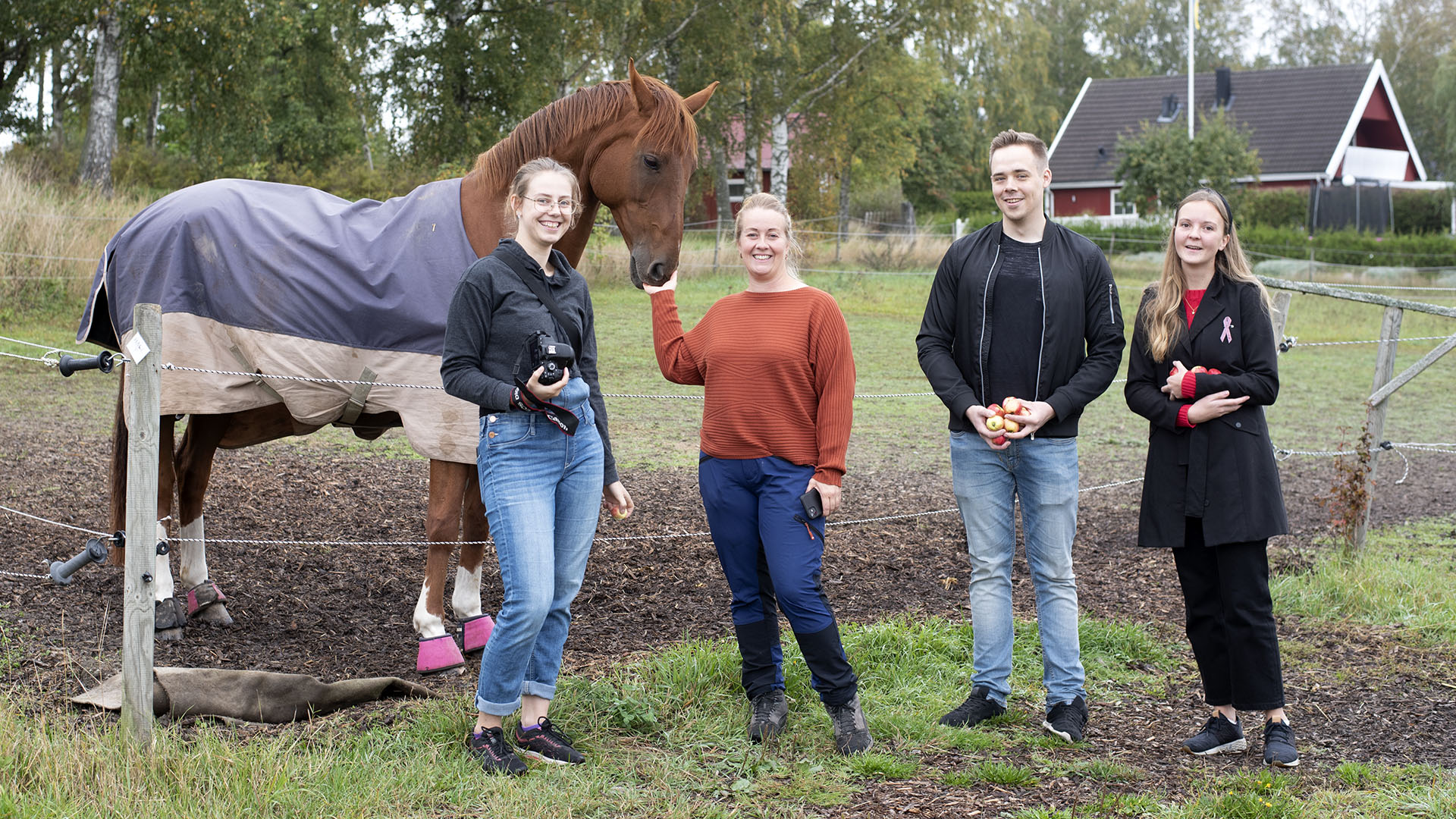 Projektdeltagare vid hästhage för att fotografera hästar